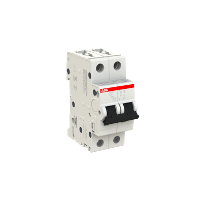 S202 C06 2X6A
