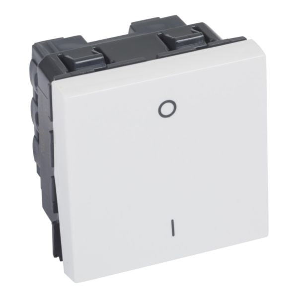 572040 Double pole switch - 10 AX - 250 V~ - 2 modules - White