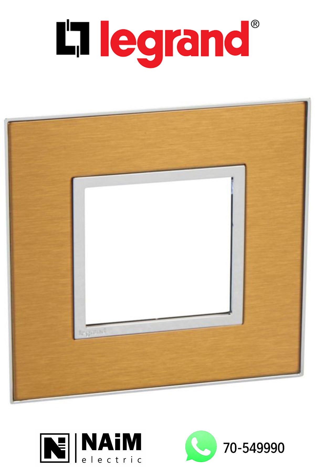 576240 Plate - French/German std - square - 2 modules - gold brass