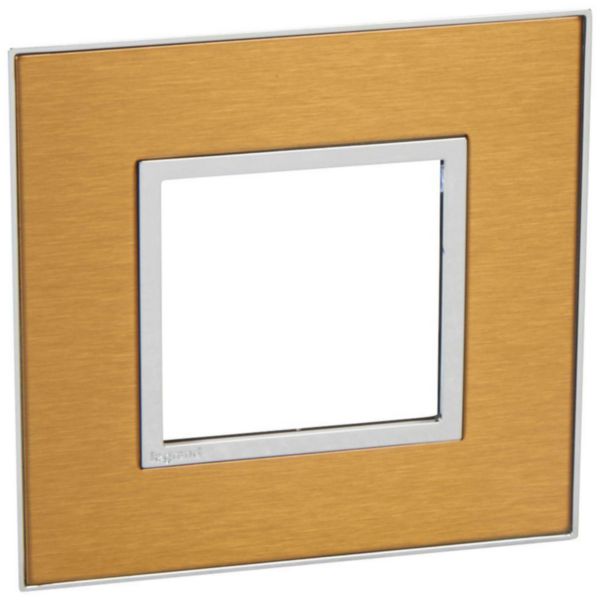 576240 Plate - French/German std - square - 2 modules - gold brass