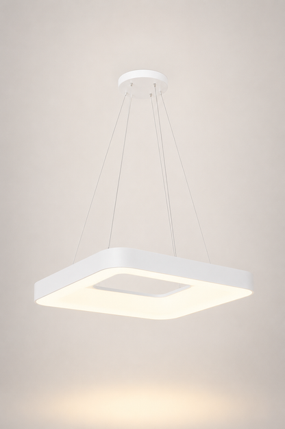 BM8029-P  WH