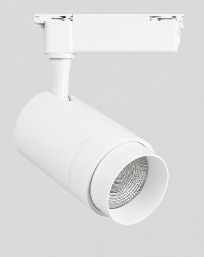 GD501  Tracklight