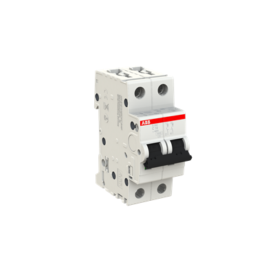 S202 C10 2X10A