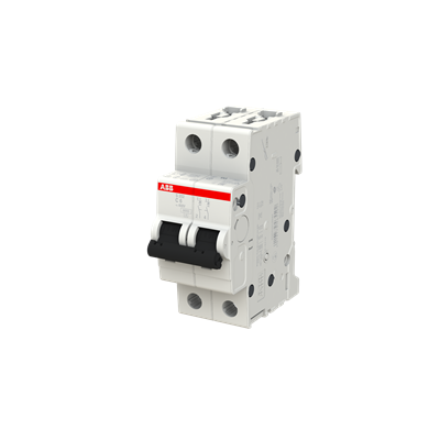 S202 C06 2X6A