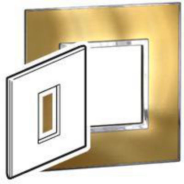 576220 plate Brushed Metal - 1 Module - Gold brass