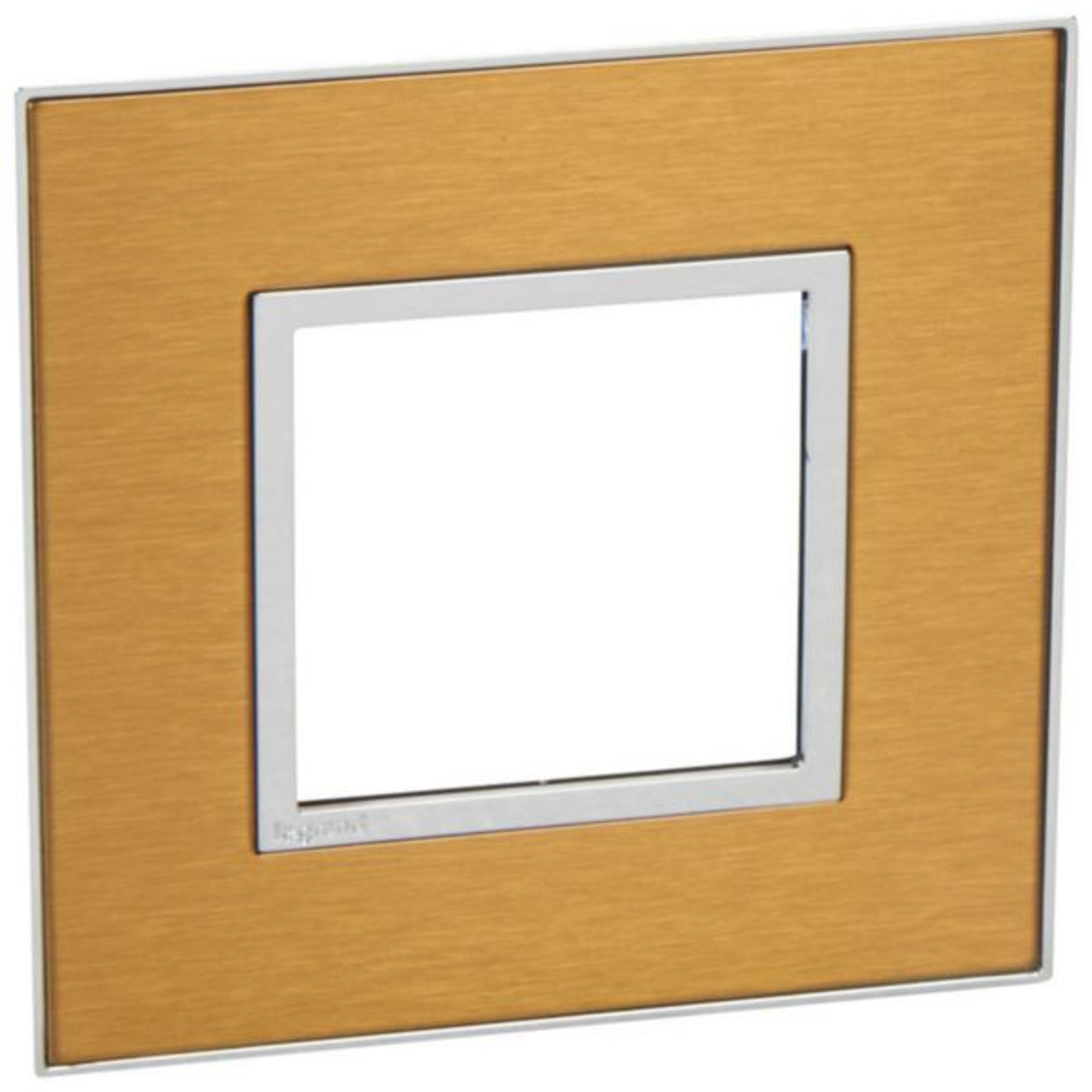 576240 Plate - French/German std - square - 2 modules - gold brass